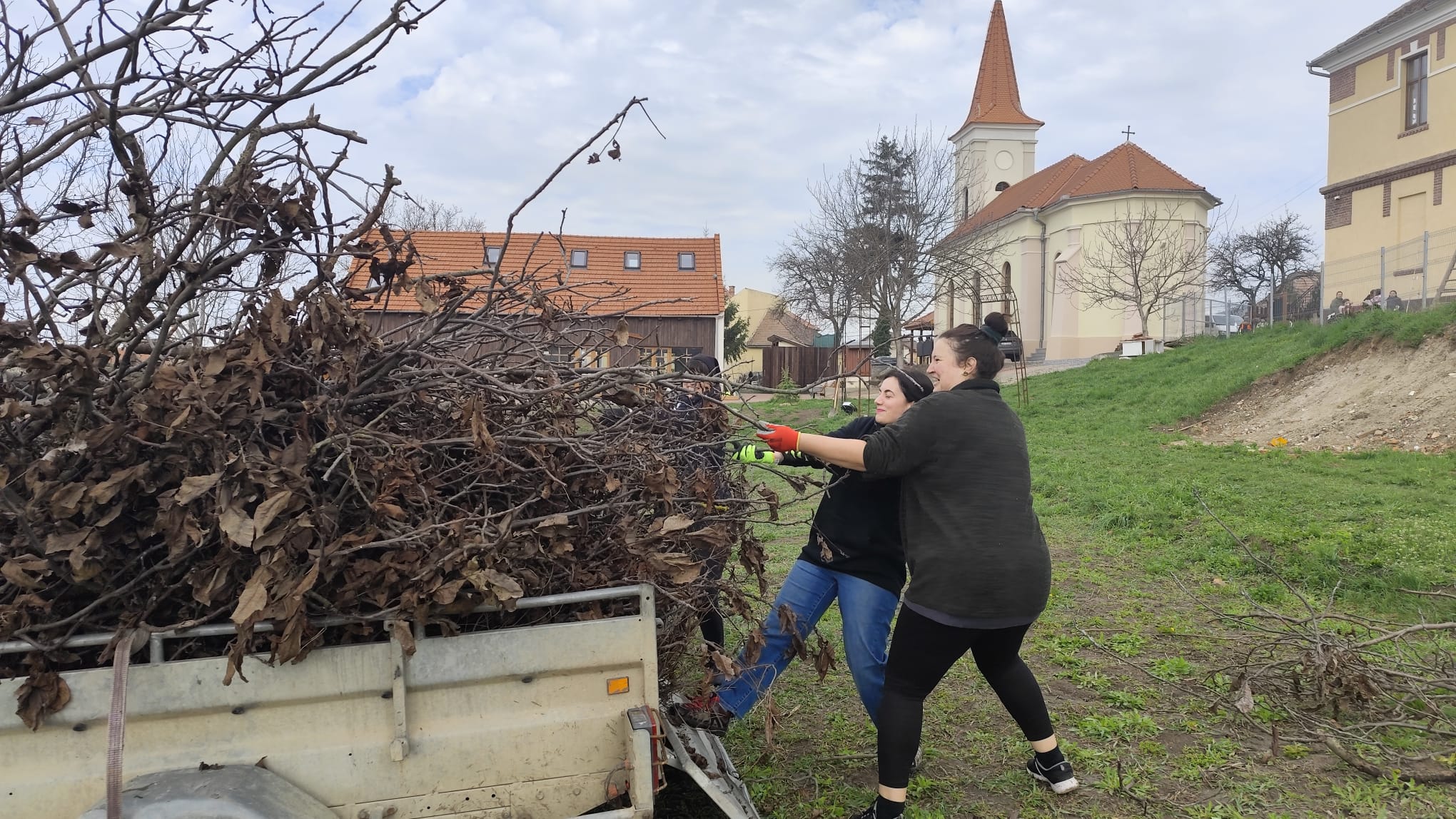 Șura Culturală Gușterița 29